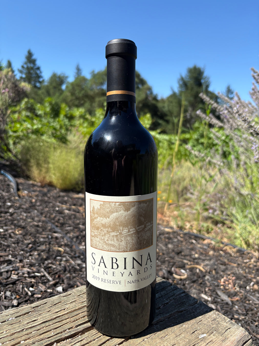 2019 Reserve Cabernet Sauvignon – Sabina Vineyards