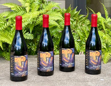 2024 Pinot Noir - Summer Savings